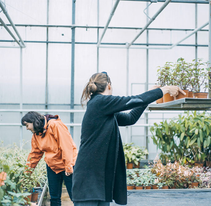 CNPH Piverdière, formation fleuriste et formation horticole