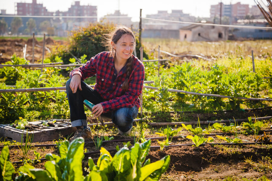 permaculture-cnph-piverdiere