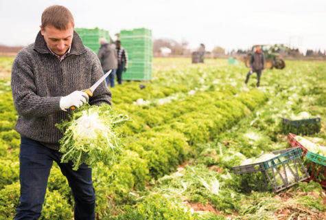 Blog_Capacité-Professionnelle-Agricole-BPREA-cnph-piverdiere