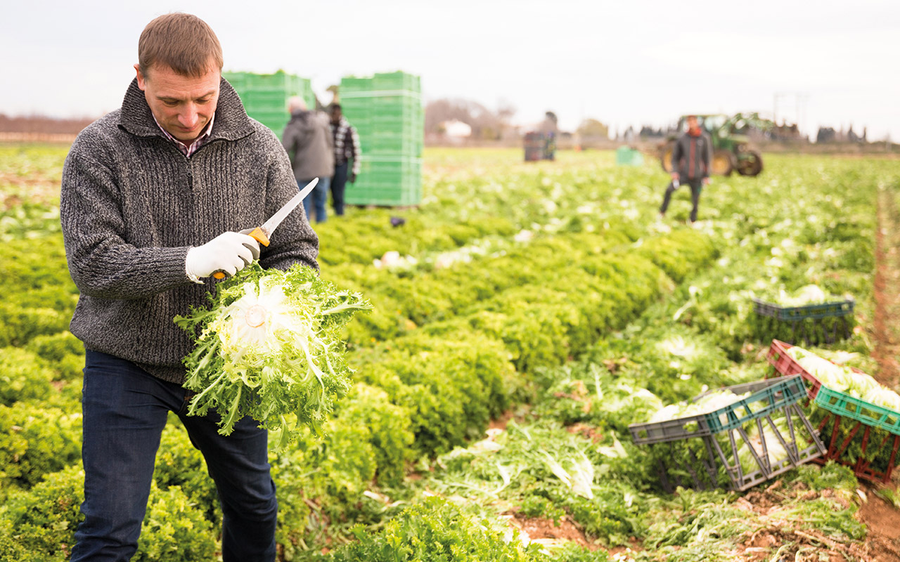 Blog_Capacité-Professionnelle-Agricole-BPREA-cnph-piverdiere