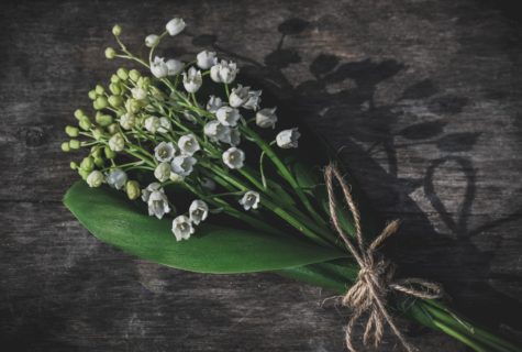 Blog_CNPH_Piverdière_Pourquoi offre-t-on du muguet le 1er mai 1