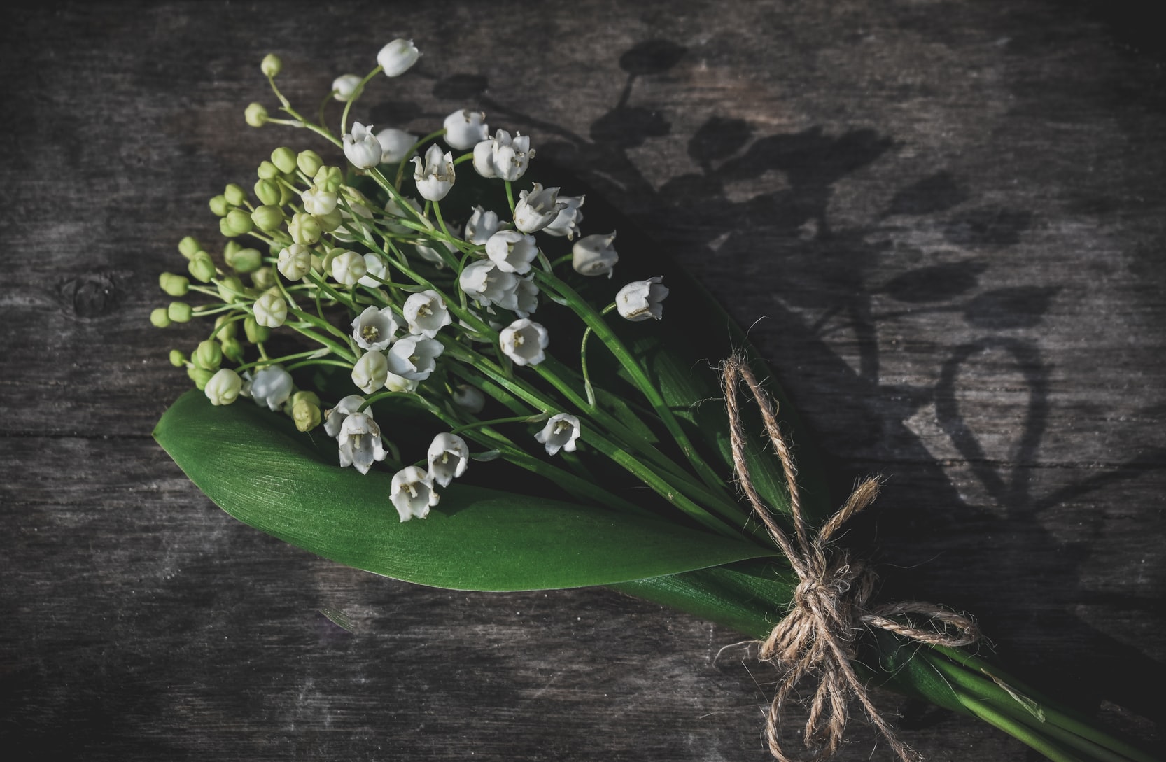 Blog_CNPH_Piverdière_Pourquoi offre-t-on du muguet le 1er mai 1