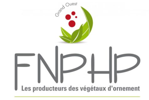 appui stratégique horticulture sortie de crise
