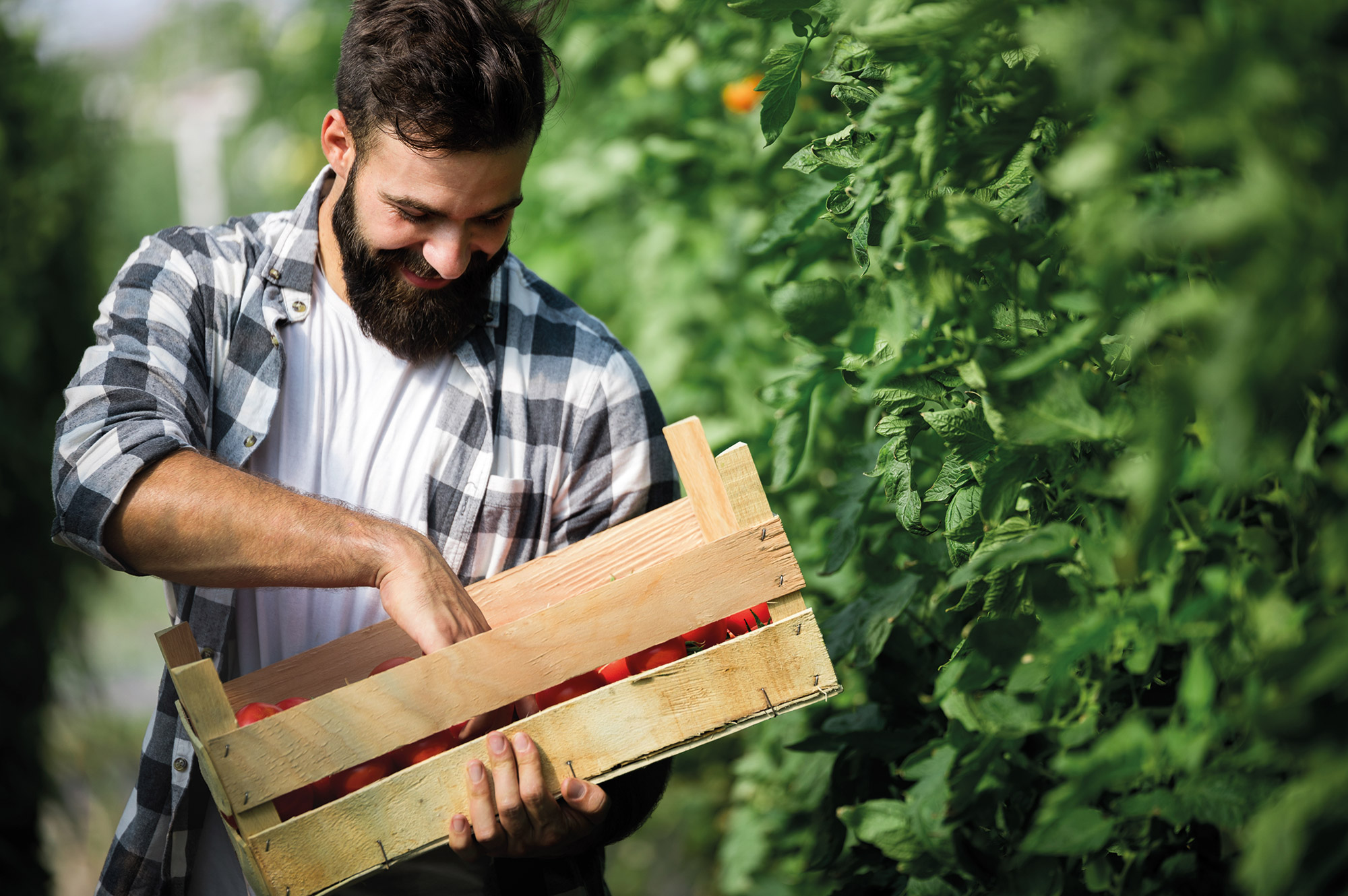 devenir-agriculteur-biologique-quelle-formation