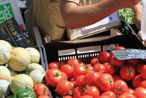 Formation-cnph-piverdiere-agriculture-bio-apprentissage-angers49