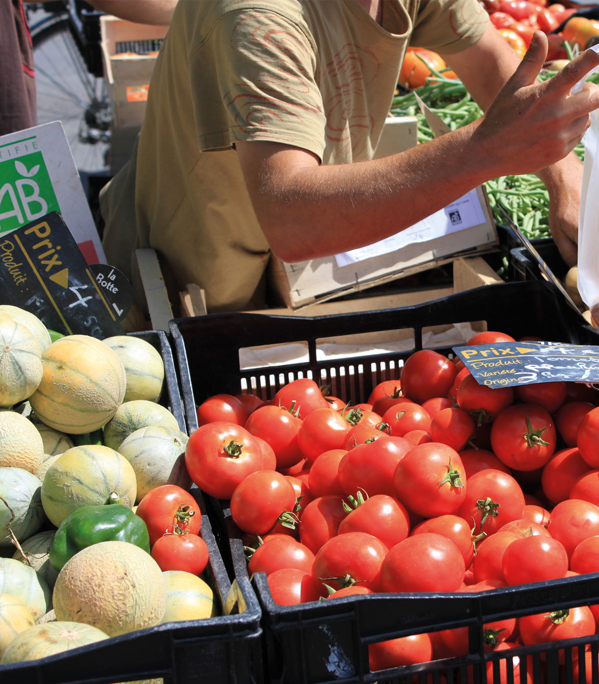 Formation-cnph-piverdiere-agriculture-bio-apprentissage-angers49