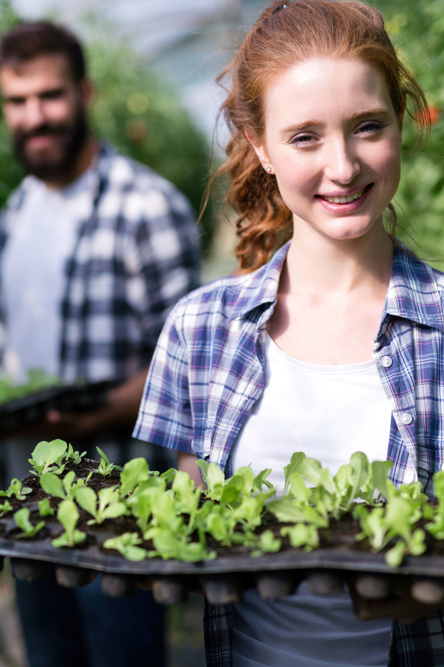 formation-horticulture-maine-et-loire