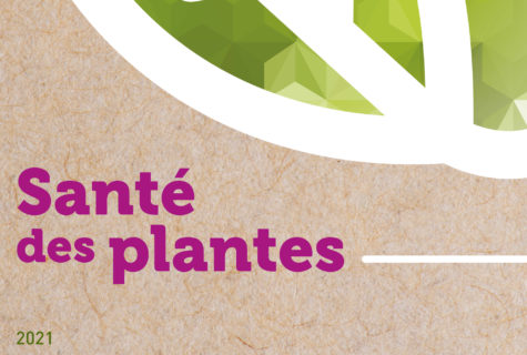 Sante-des-plantes-sival-2021-cnph-piverdiere