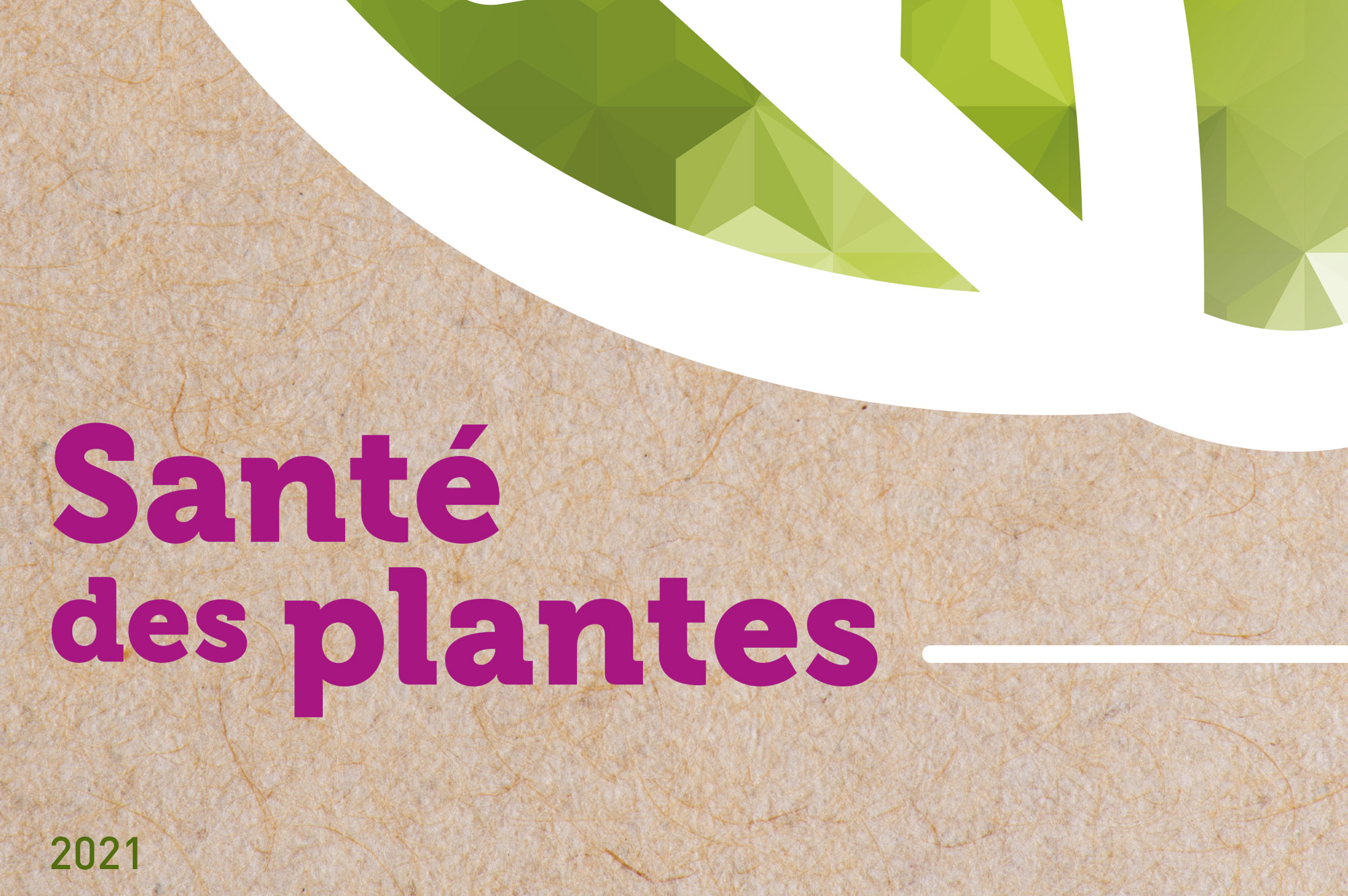 Sante-des-plantes-sival-2021-cnph-piverdiere