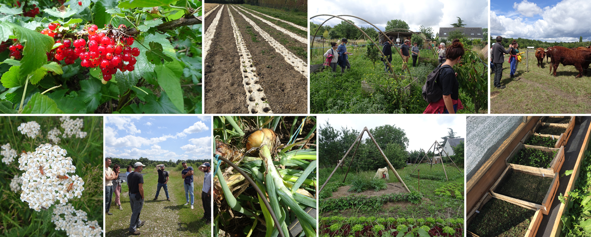 UCARE-BP-RPH-biodiversité-fonctionnelle-cnph-piverdiere