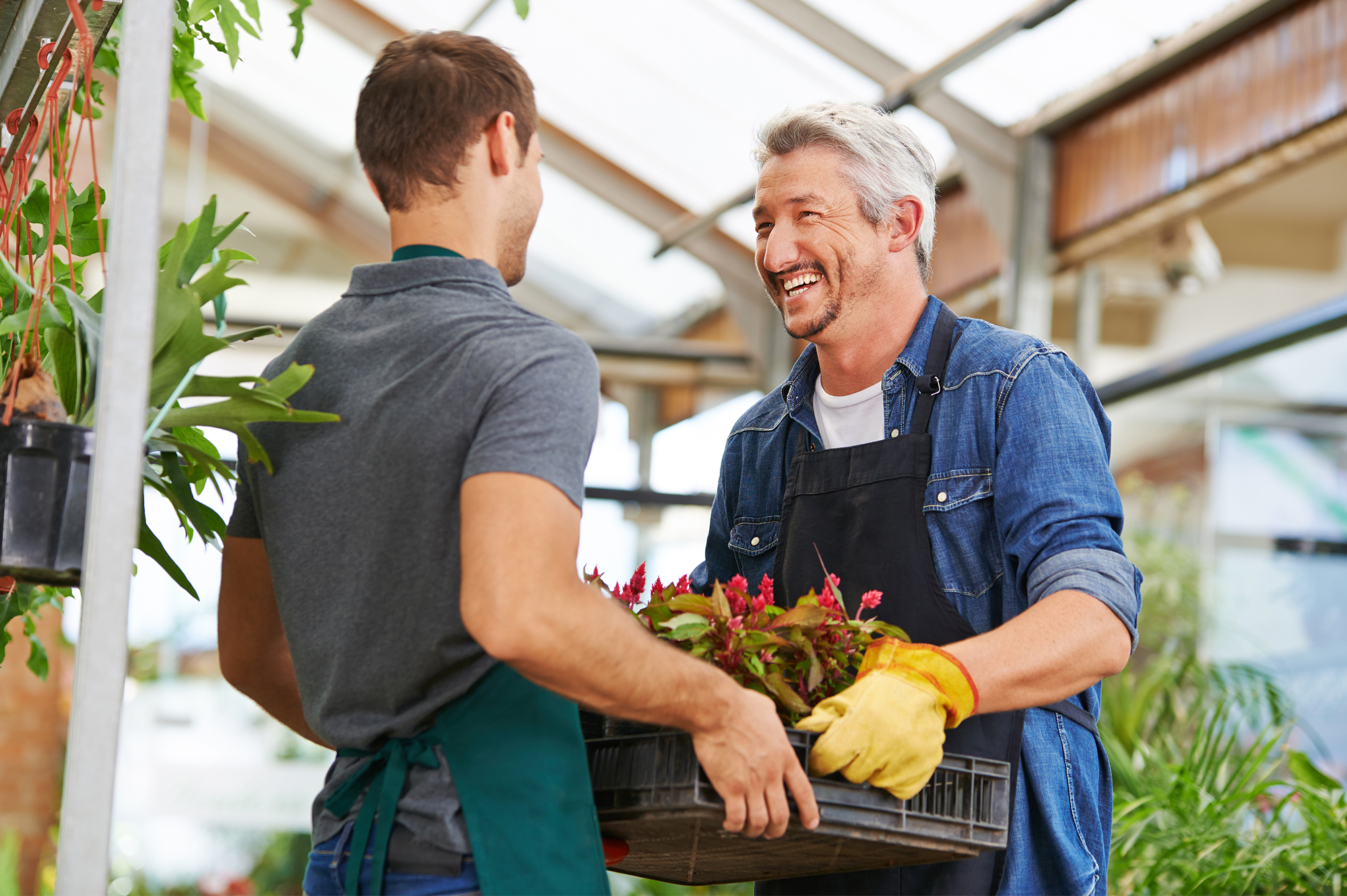 quelle-formation-pour-devenir-horticulteur