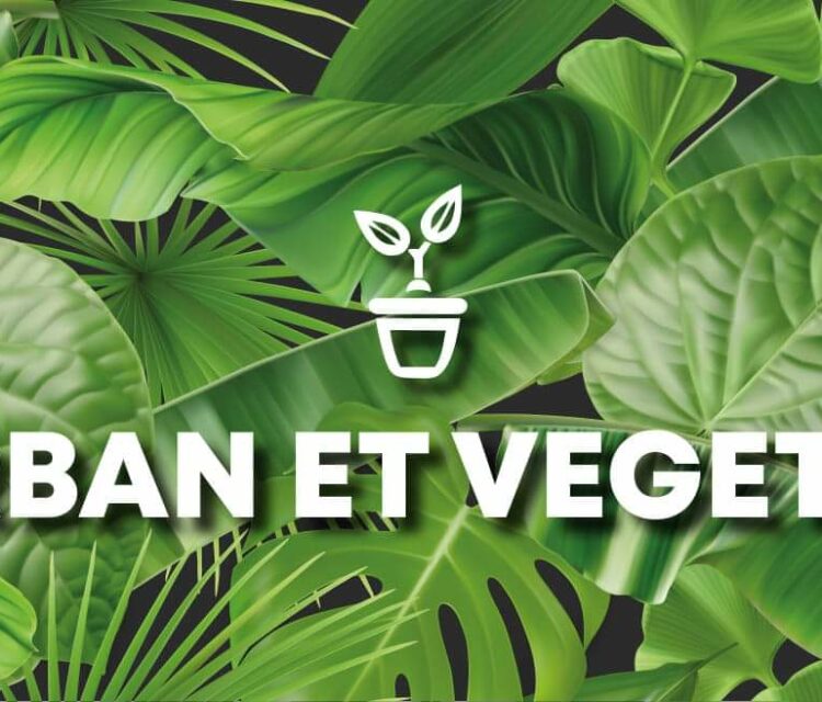 urban et végétal angers