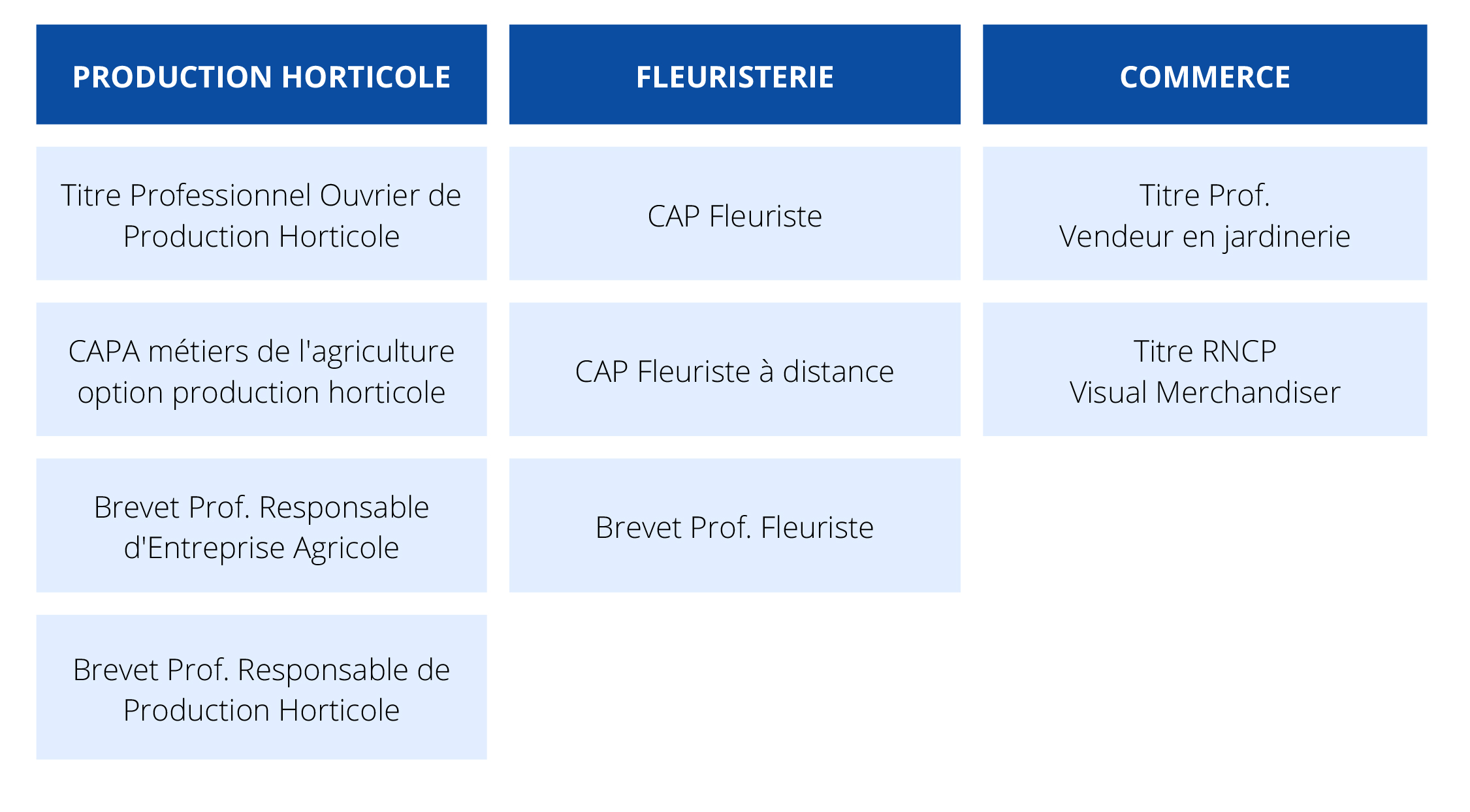 Formations-diplômantes-éligibles-au-CPF