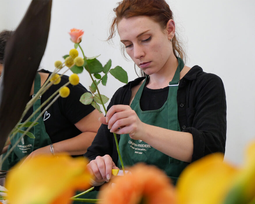 alternance-brevet-professionnel-fleuriste-2-ans