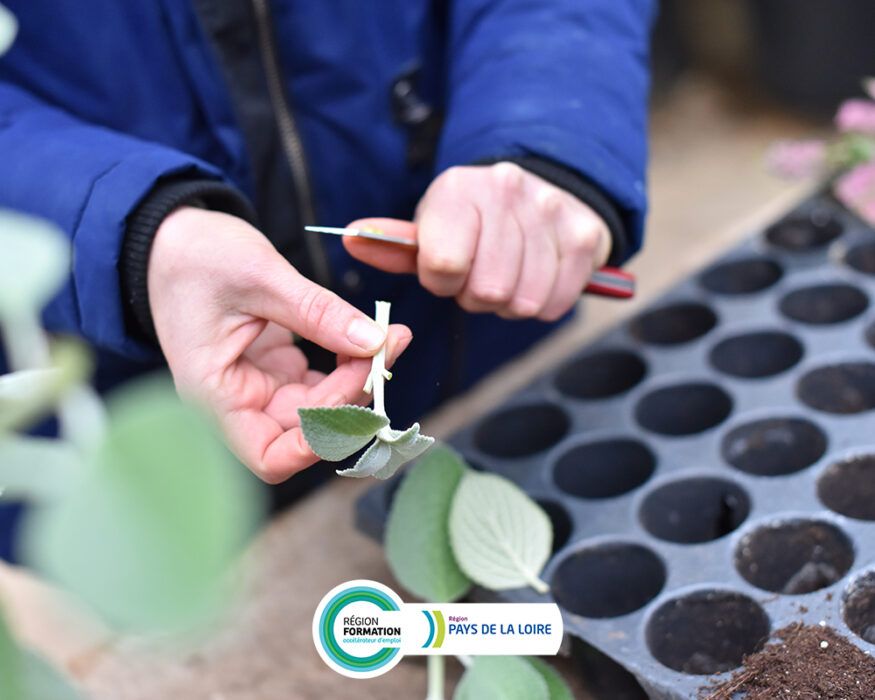 Titre-professionnel-ouvrier-de-production-horticole