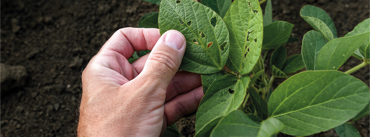 formation-continue-entreprise-production-horticole