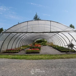 Conduire un projet en permaculture