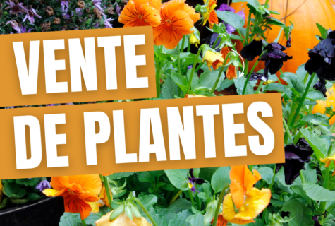 vente de plantes 25.11.2023