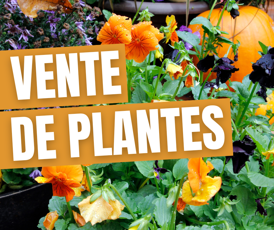 vente de plantes 25.11.2023