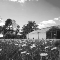 cnph-piverdiere