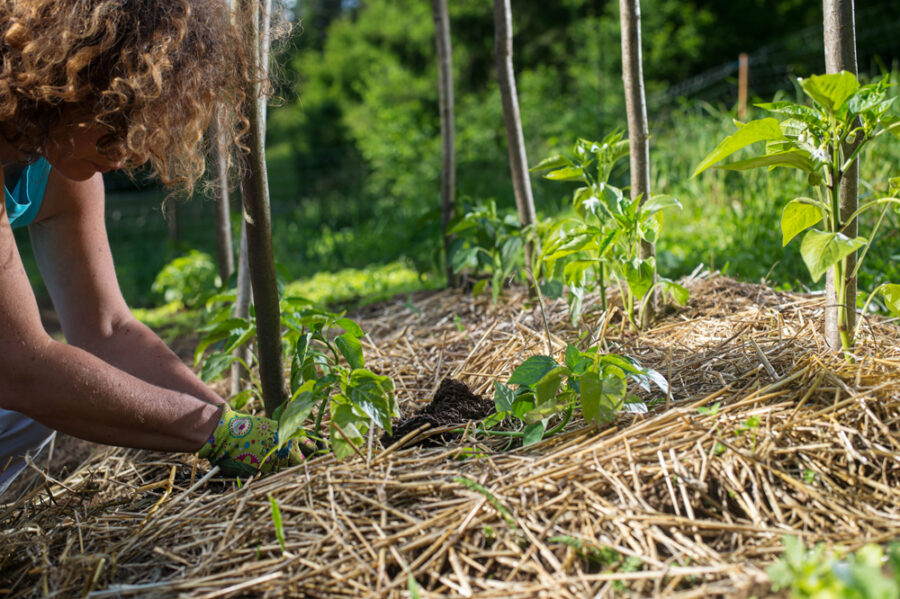 formation-permaculture-CPF