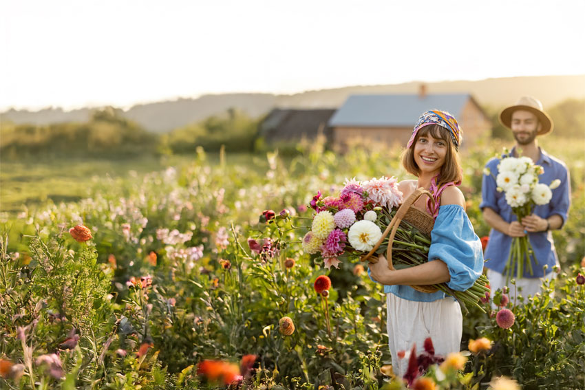 Une femme debout dans un champ de fleur avec un bouquet dans les mains