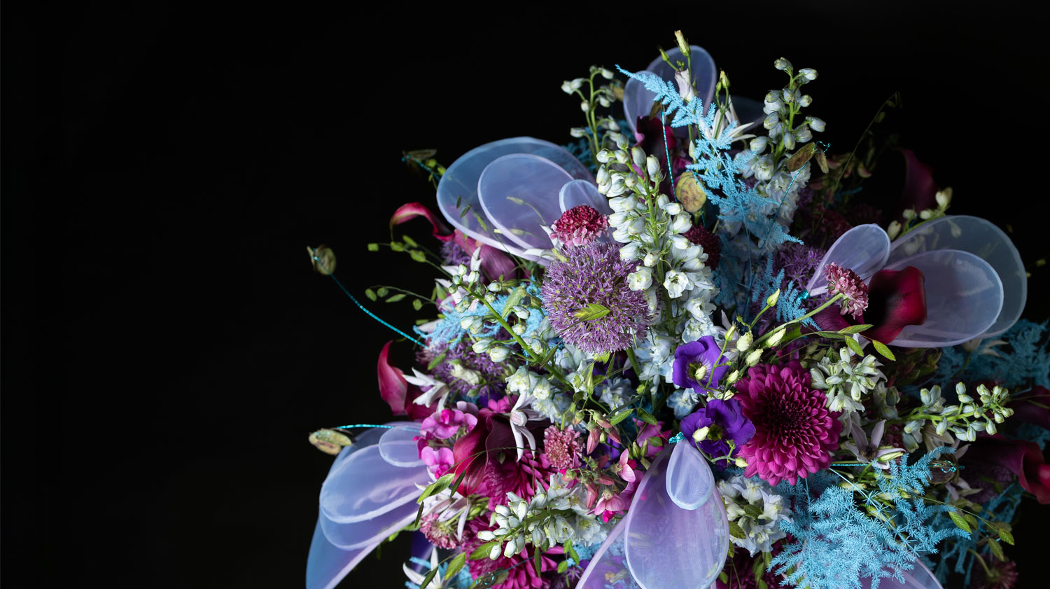 Un bouquet de fleurs blanches, bleues et violettes sur fond noir