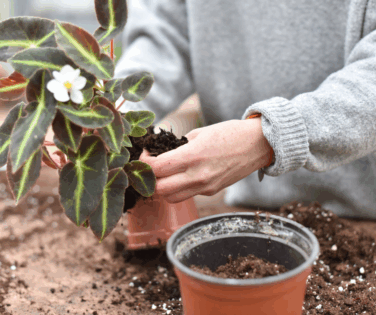 CNPH-Piverdiere - formation en apprentissage