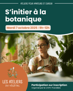 Atelier du végétal, s'initier à la botanique