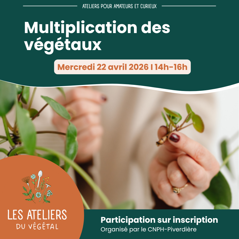 Les ateliers du végétal 2026