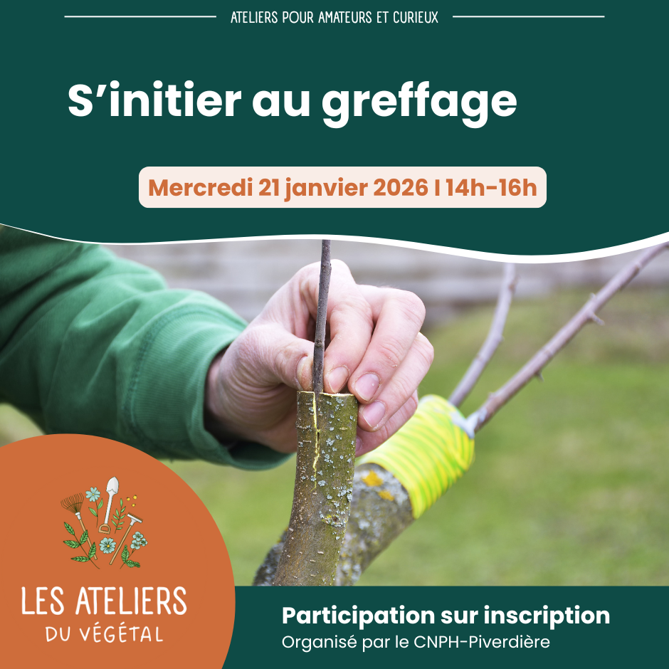 Les ateliers du végétal 2026
