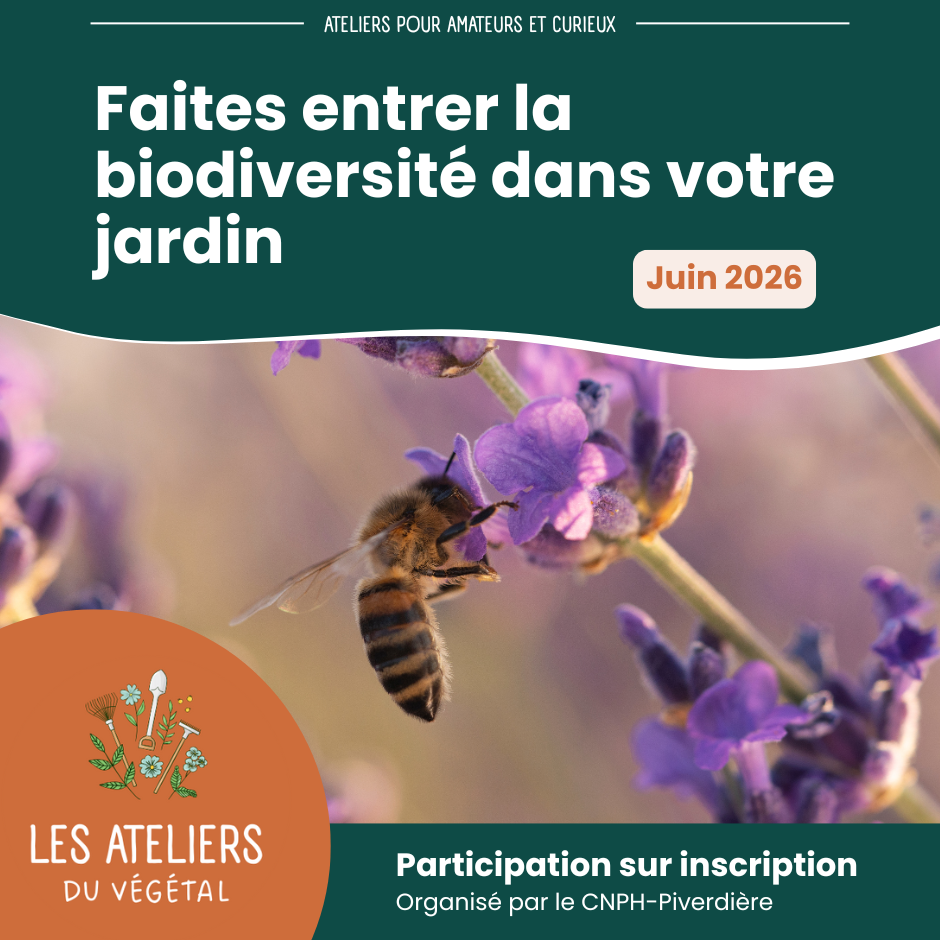 Les ateliers du végétal 2026