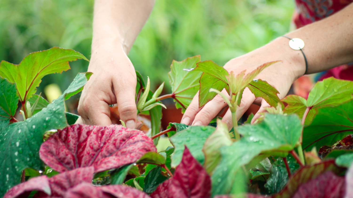 Formations CNPH-PIVERDIERE