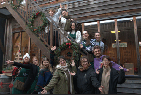 CAP Fleuriste - Grand décor de noël 2025