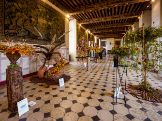 Château de Brissac : concours piverdie