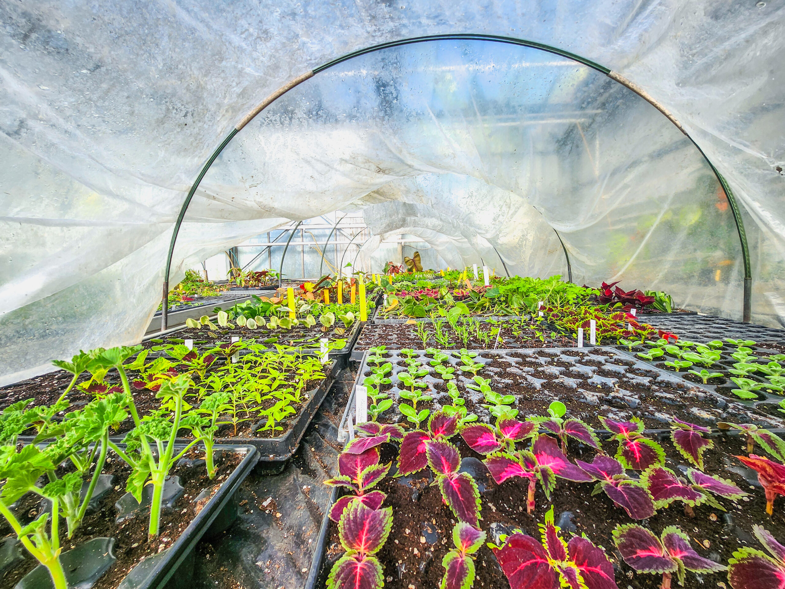 Ouvrier de Production Horticole