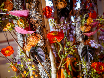 Concours piverdie 2025