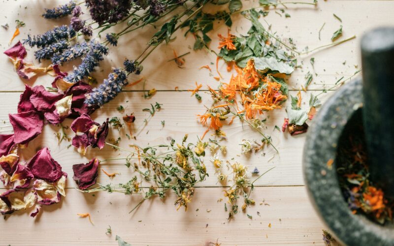 Transformer les plantes aromatiques et médicinales