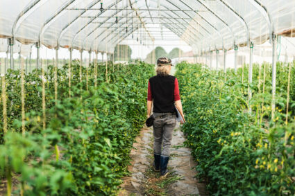 alternance horticulture