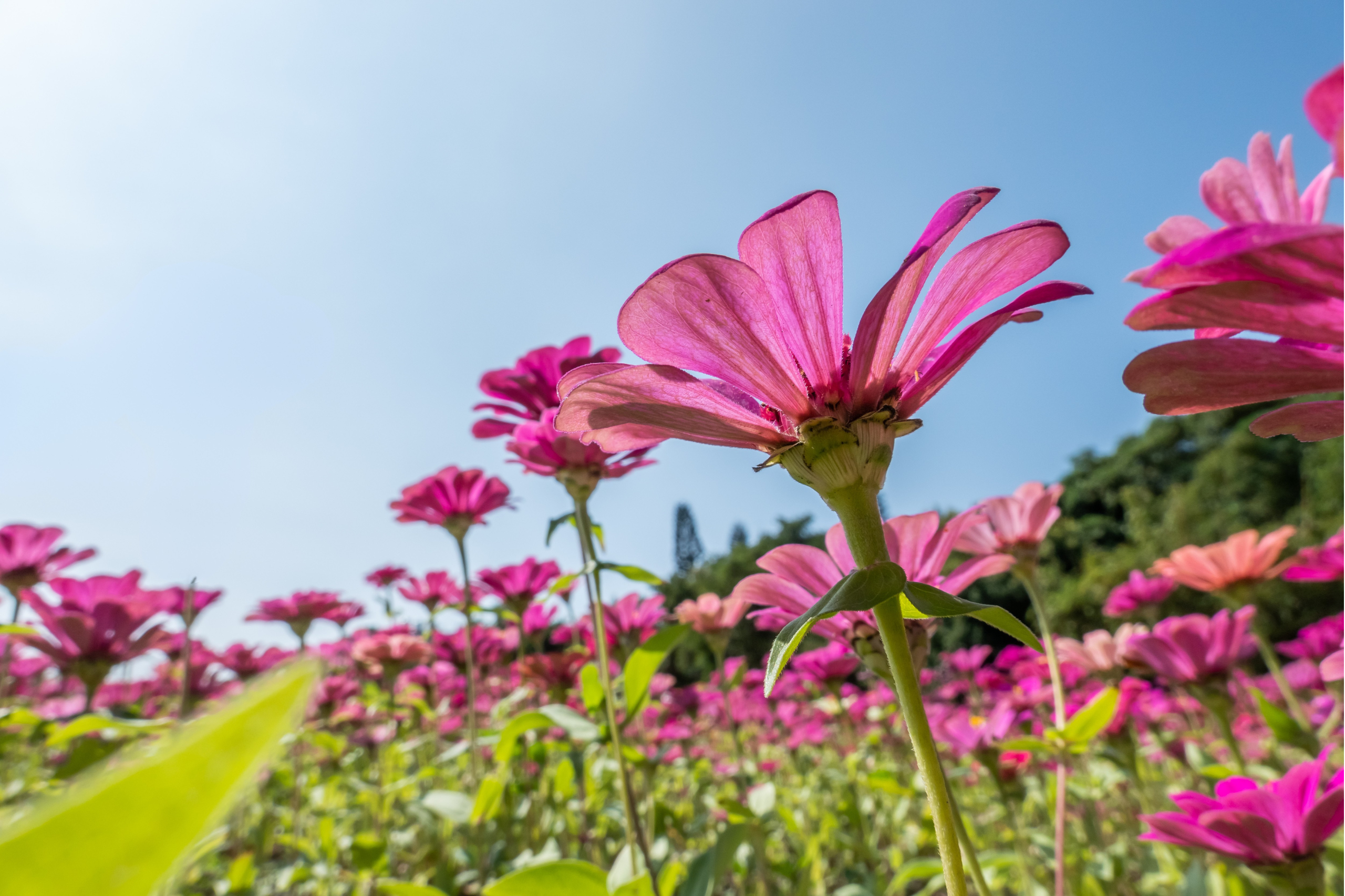 Portes Ouvertes Juin 2026