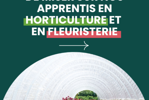 Pourquoi recruter en alternance ?