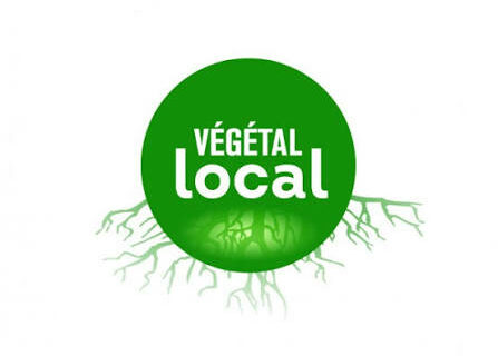 Végétal local